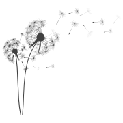 Bryanston Psychology – icon grey180